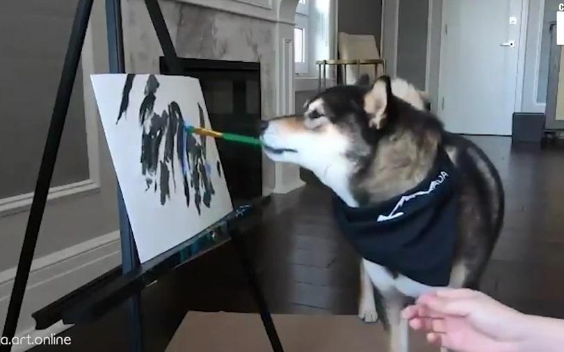 Video: Chú chó Shiba Inu trổ tài vẽ tranh kiếm bội tiền